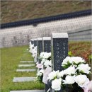 은 세상 이미지