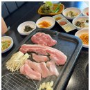 돈돼지돈