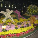 삼성동-04 이미지