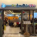 미사리 밀빛 초계국수 | 코엑스에서 뭐 먹지? 미사리 밀빛 초계국수 후기