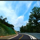 서성리 입구 이미지