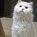 군산 검도관 | #미제사건은_끝내야_하니까