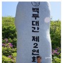 소백산- 봄의절정 서늘한 기운이 느껴지는 죽령.... 이미지