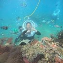 욜로(YOLO) | [나트랑]욜로투어 YOLO 흥부자 호핑투어 내돈내산 후기! 선상공연 베트남