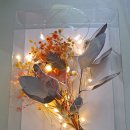 삼천포제일중학교 이미지