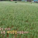 효근전북