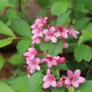 자양초등학교 이미지