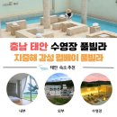 펄베이풀빌라 | [태안 대형 수영장 펜션] 지중해 감성 가득한 펄베이 풀빌라 강아지 동반 여행기