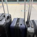 호주 시드니 여행 ①｜타롱가주·오페라하우스 산책·뉴사우스웨일스 주립 도서관｜시드니 5박6일 여행...