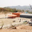 향교산 | [14th/ 안산 원시기마문화촌] 승마장과 함께하는 산속 캠핑