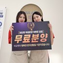 미유펫 강아지고양이 수원점 | 수원고양이분양 시작이 특별했던 미유펫