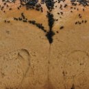 한끼식빵 이미지