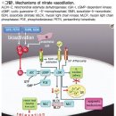 호흡 멈춘 상태로 구강 분무…흡입하면 안돼 이소켓 스프레이 이미지