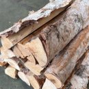 주는나무 주식회사 이미지