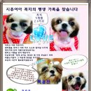 꼭지엄마 이미지