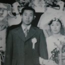 녹향 이미지