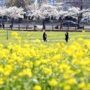 비로소, 겨울 하늘 이미지