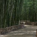 황룡강변(좌안)국가하천 자전거도로-2 | [울산 중구] 태화강 국가정원