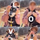 사근절길 네이버블로그