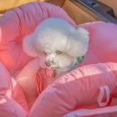 군북119안전센터 이미지