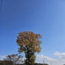 충주 금가면밥집 온달마루