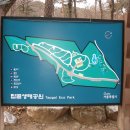 동산동비석군 이미지