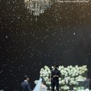 호텔 ICC | [웨딩기록] 대전 호텔ICC 웨딩홀 미디어아트 후기