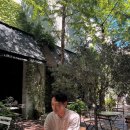 커피나무 꽃향기 | 강릉 테라로사 커피 본점_여름 방문후기_내돈내산