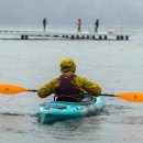 THE DREAM MOTORS 이미지