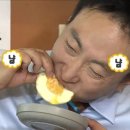 맷도리 이미지