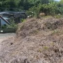 정촌면-1 이미지