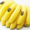 몽키푸드 이미지