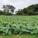 연정농장 이미지