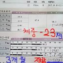 오오다이어트 이미지