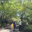 산정공원2 이미지