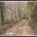 배나무골민박 이미지