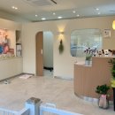 강아지를 미용하는 여자 이미지