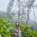 여수애견동반 가능한 오션뷰 수국 정원카페 더포레스트랜드 여수돌산점