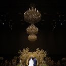 벨리타 | [공지] 안동 두리원 벨리타홀 서브스냅 촬영 후기