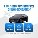 나이스카워시 이미지