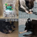 도그파우 이미지