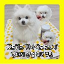 '펫프렌즈 진짜육포 소고기' 100% 소고기 원물, 국내제조 강아지 관절 간식 추천!