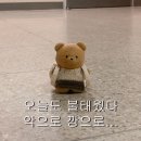 (초등)우쿨렐레앙상블 | &lt;N 시리즈 2&gt; 1사람 2전공