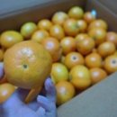 (주)태리 이미지