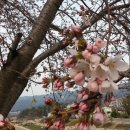 모화3리 이미지