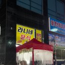 주정차단속-101 이미지