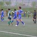 곤명축구장 Daum카페