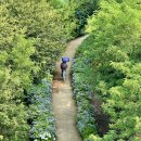 [공지] 전국의 자연과 어울리는 사람 풍경 - 50 選