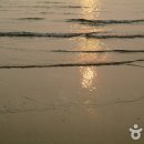 장안해수욕장 네이버블로그