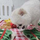 (주)노즈워크 이미지